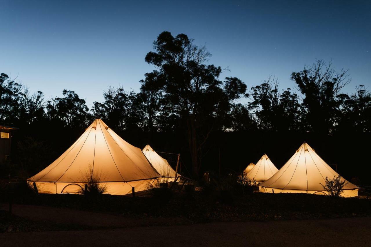 Bay Of Fires Bush Retreat Bed & Breakfast Binalong Bay Екстериор снимка
